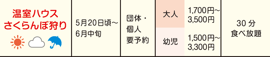 温室ハウスさくらんぼ狩り 大人1,700円~3,500円、幼児1,500円~3,300円