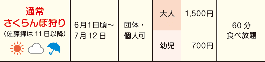 通常さくらんぼ狩り 大人1,500円、幼児700円